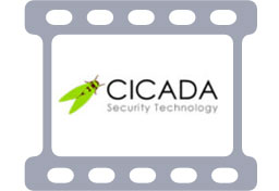Cicada Intro and Demo